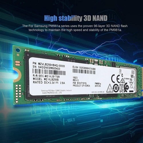 SSD Samsung PM981A 2TB M2 2280 PCIe NVMe Giá Tốt 5