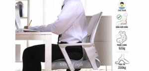 Ghế Chỉnh Dáng Ngồi Đúng Roichen Giant