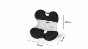 Ghế Chỉnh Dáng Ngồi Đúng Roichen Giant