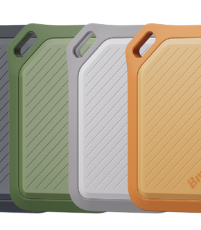 BIWIN Amber PR2000 1TB