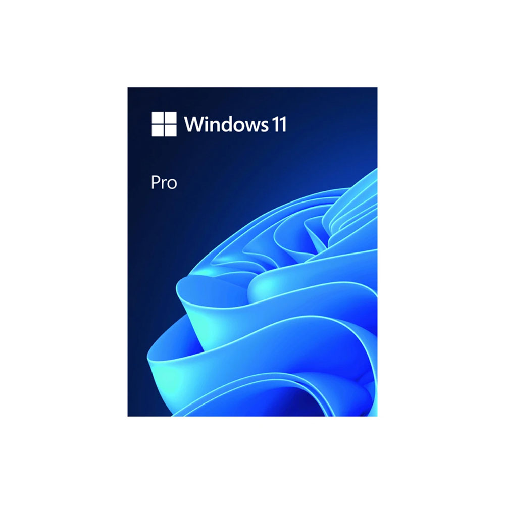 Microsoft Windows 11 Pro 64bit English Intl USB HAV-00163 hinh 1